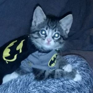 Meet your Posher, Kim